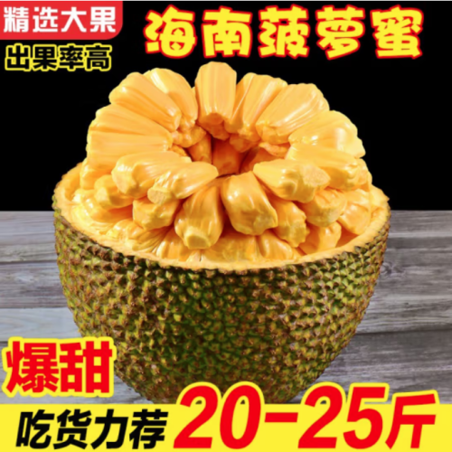 新鲜水果热带水果整箱1个干苞大树木波萝蜜一整个生鲜特产水果 25-30斤