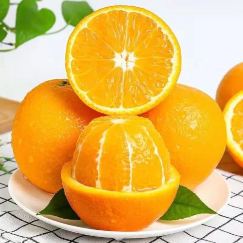脐橙新鲜水果